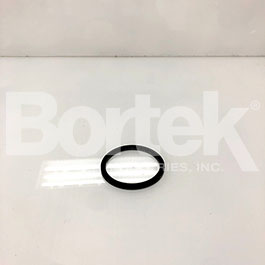 Gasket For Water Filter Nilfisk Advance AD9097943000