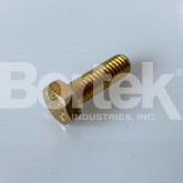 Bolt 5/16-18 X 1.0 Cap G8 Zinc