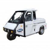 Westward GO-4 Parking Enforcement Vehicle